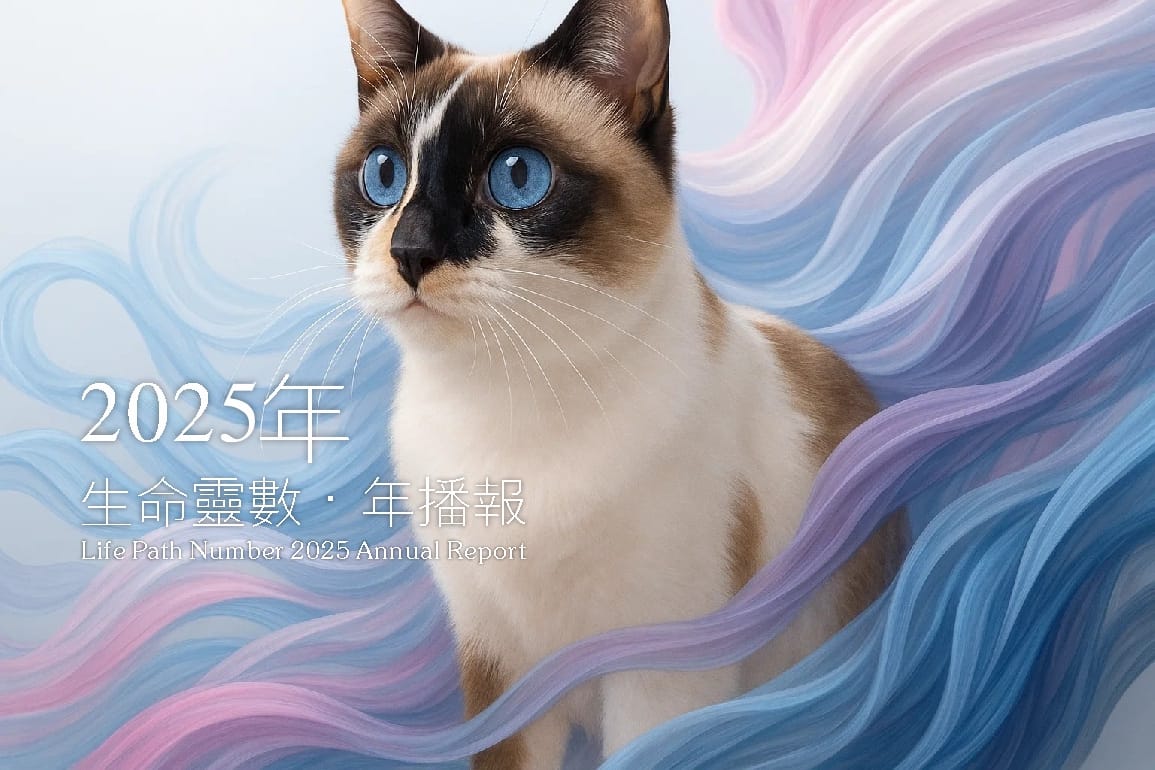 Life Path Number 2025 Annual Report 生命靈數‧年播報